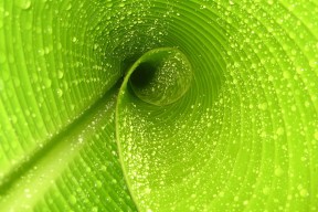世界体能恢复公益课堂高校合作第15批项目验收公示，国际体能大赛